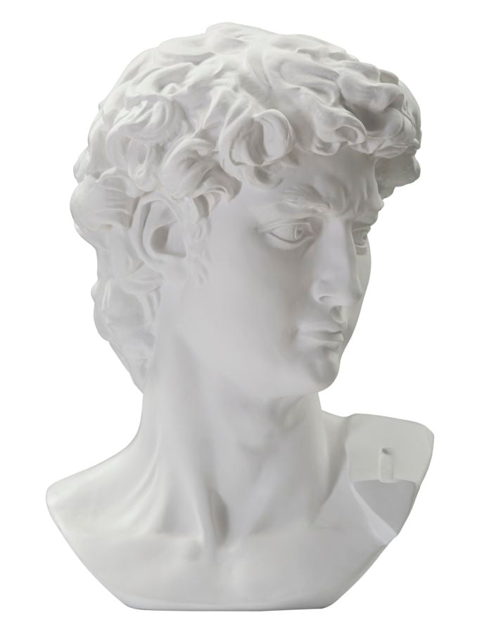 SCULTURA TESTA ANTICA BIANCA