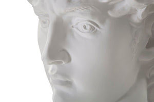 SCULTURA TESTA ANTICA BIANCA