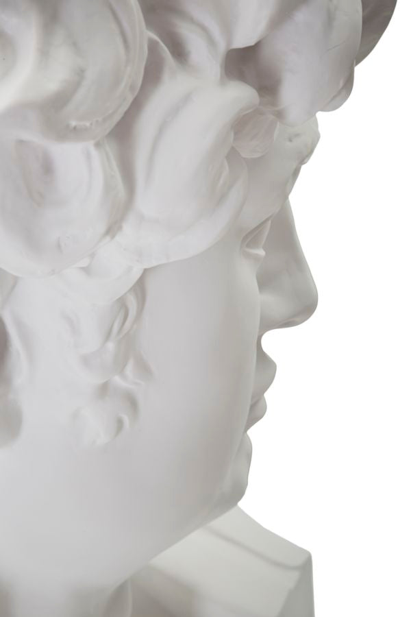 SCULTURA TESTA ANTICA BIANCA