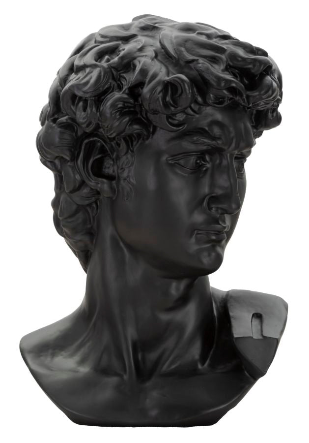 SCULTURA TESTA ANTICA NERA