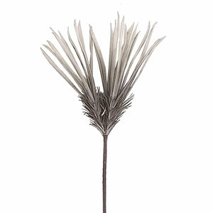 Gray Flower