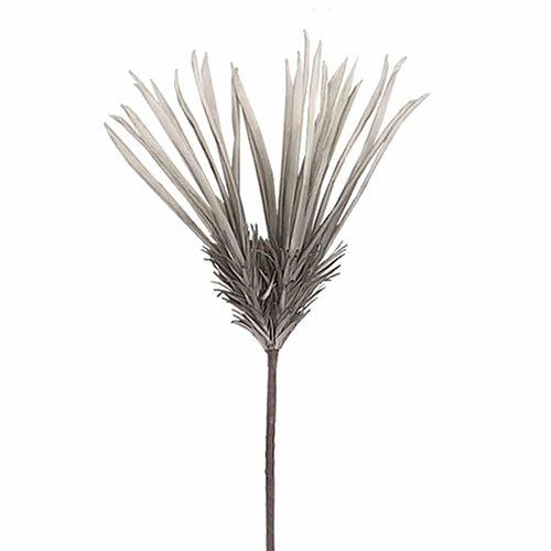 Gray Flower