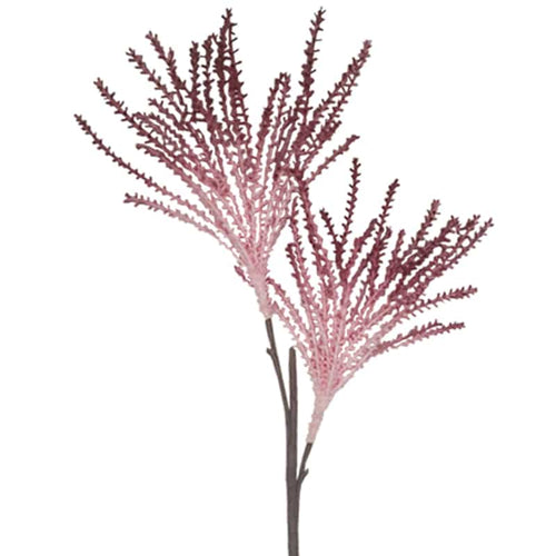Pink Branch