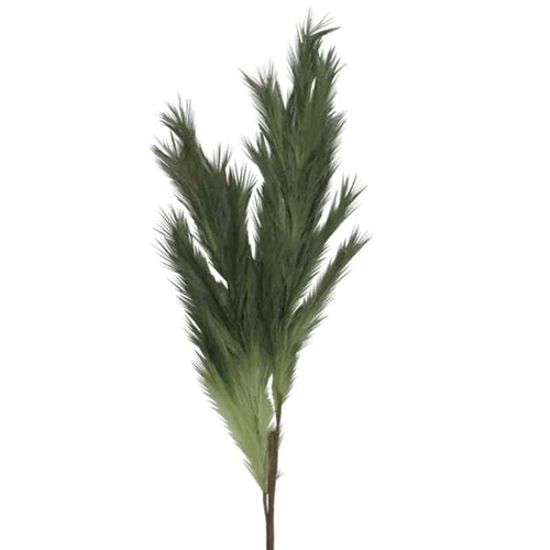 Green Pampas Stem