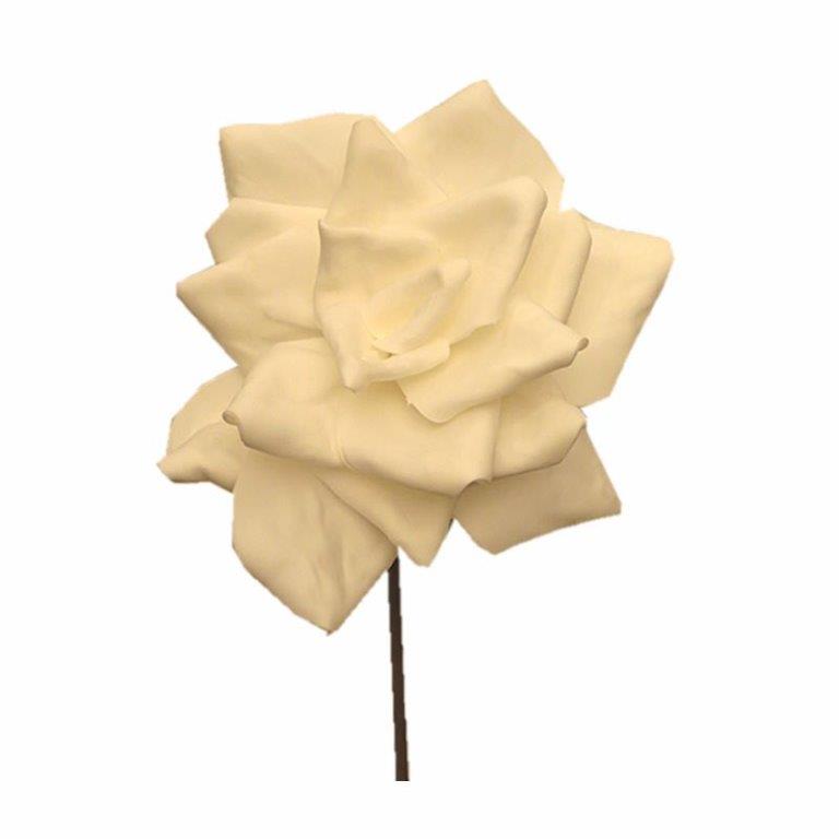 White Flower