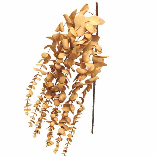 Beige Flower