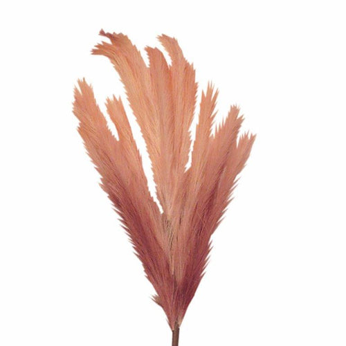 Pink-White Pampas Branch