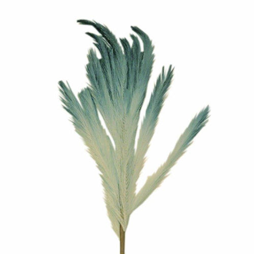 Turquoise-Blue Pampas Branch