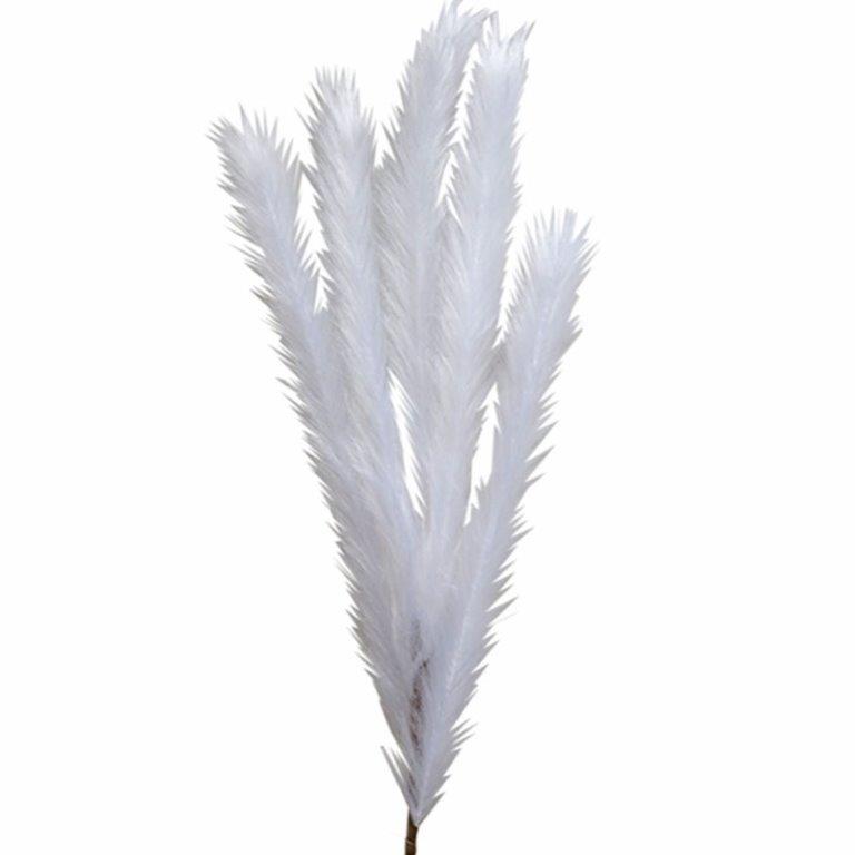 White Pampas Branch