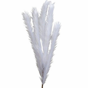 White Pampas Branch