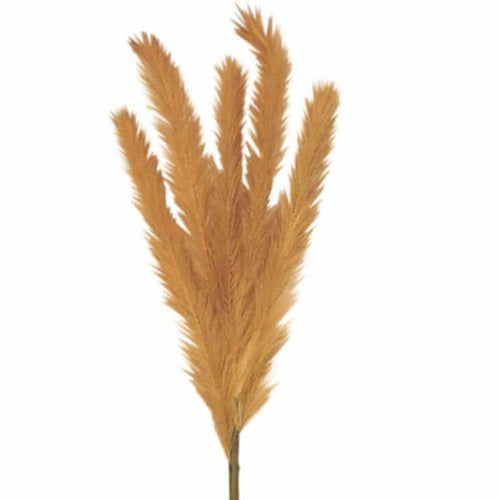 Beige Pampas Stem