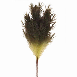 Green Pampas Stem