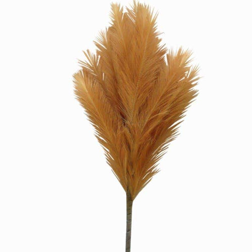 Beige Pampas Stem