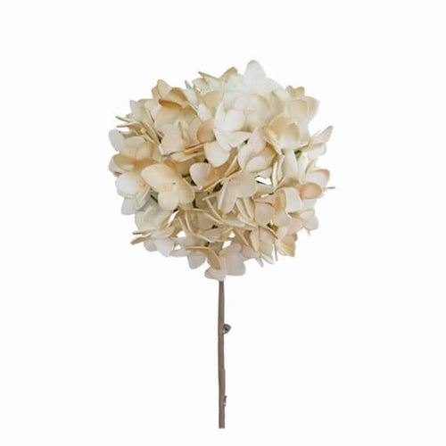 Ivory Flower