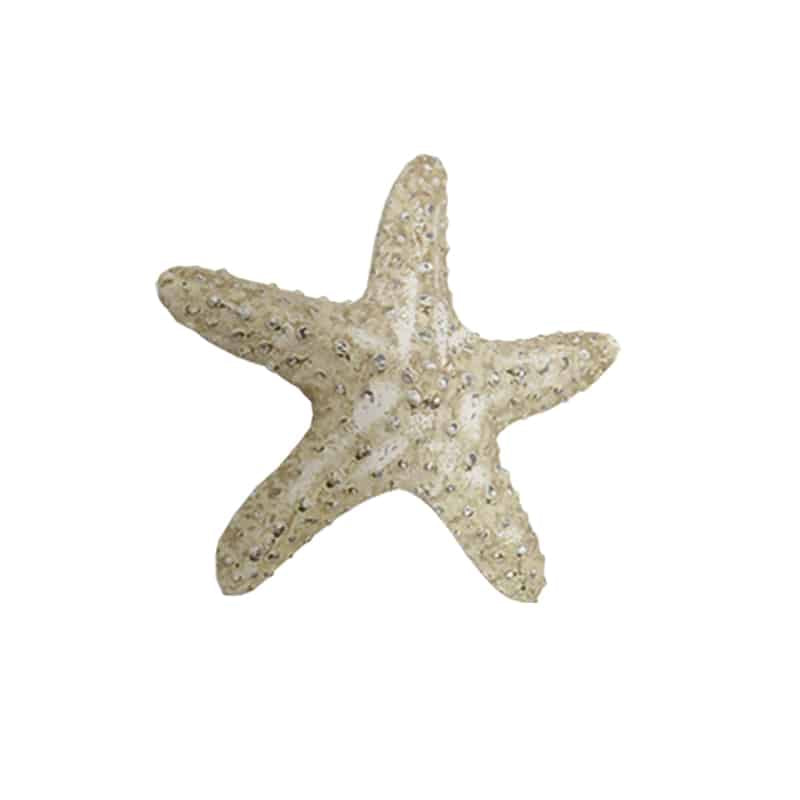 ART ET LUMIERE Decorative Starfish