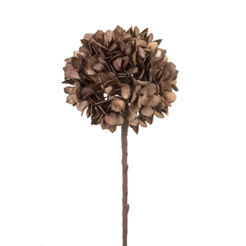 Brown Flower