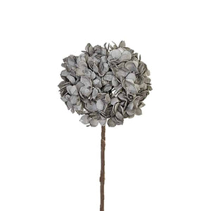 Gray Flower