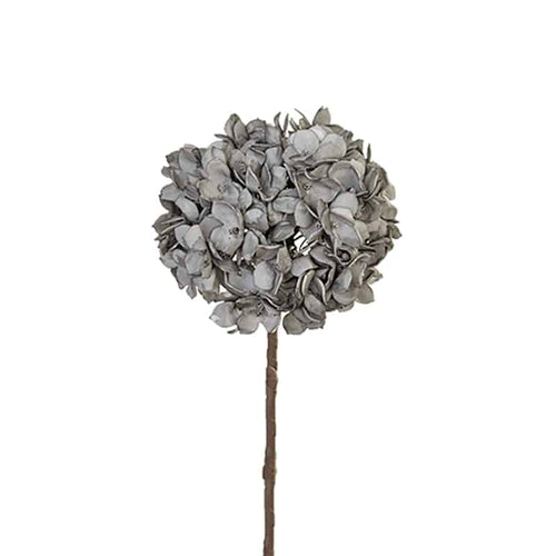 Gray Flower