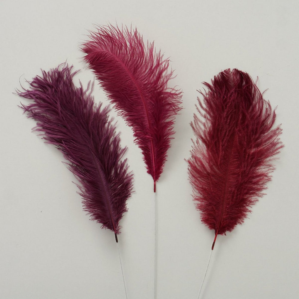 Plumia Feather 3/ass