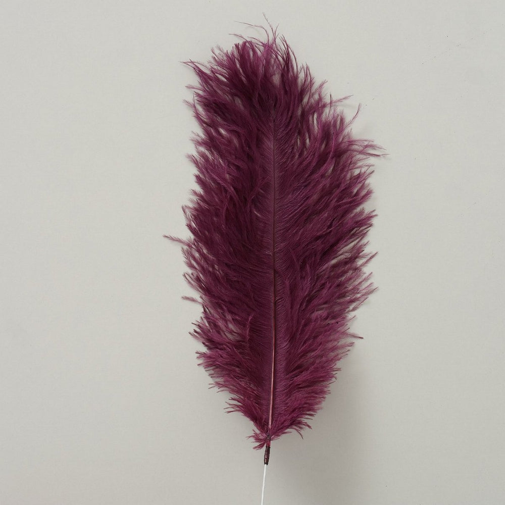 Plumia Feather 3/ass