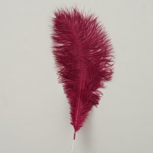 Plumia Feather 3/ass