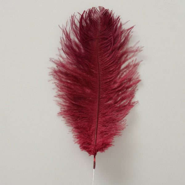Plumia Feather 3/ass