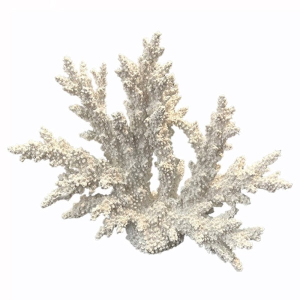 ART ET LUMIERE Decorative Coral