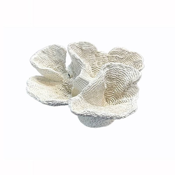ART ET LUMIÈRE Decorative Coral