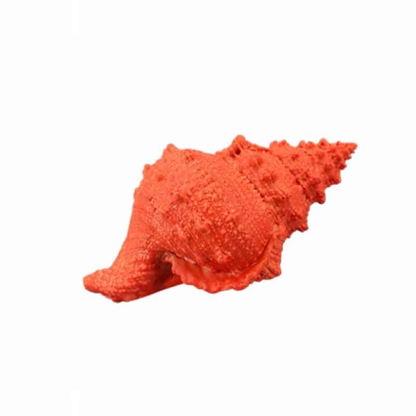 Decorative Shell