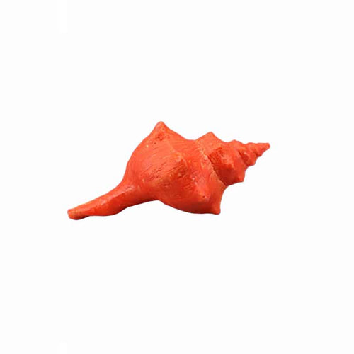 Decorative Shell