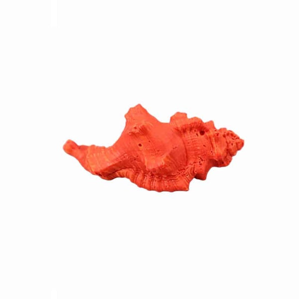 Decorative Shell