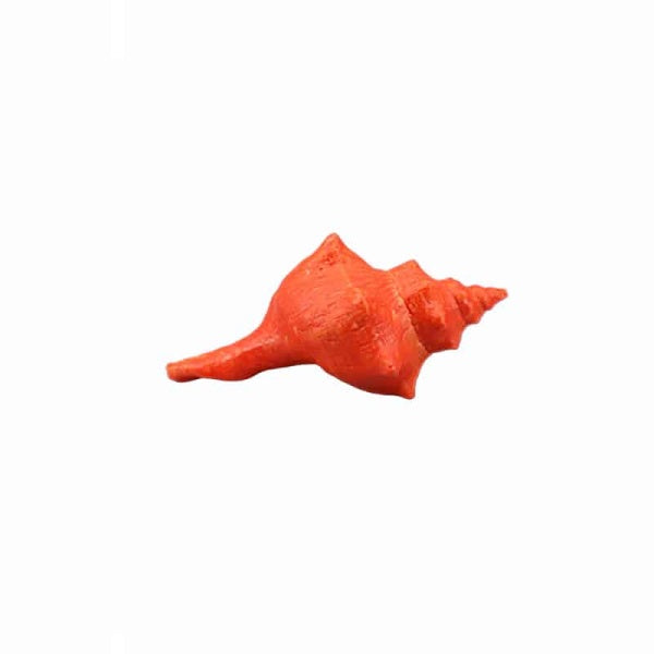 Decorative Shell