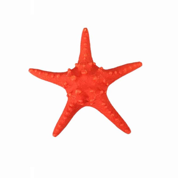 Decorative Starfish