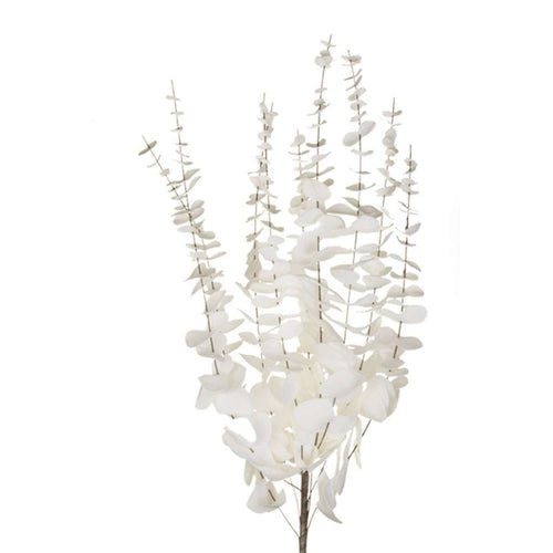 White Floral Branch