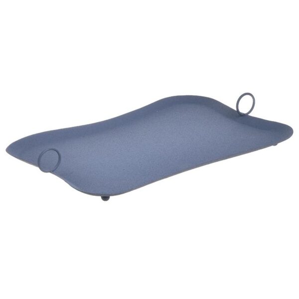 Metal Tray