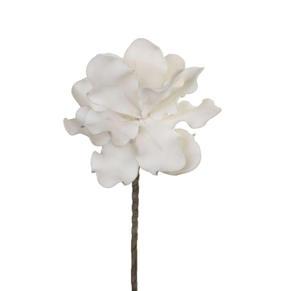 White Flower