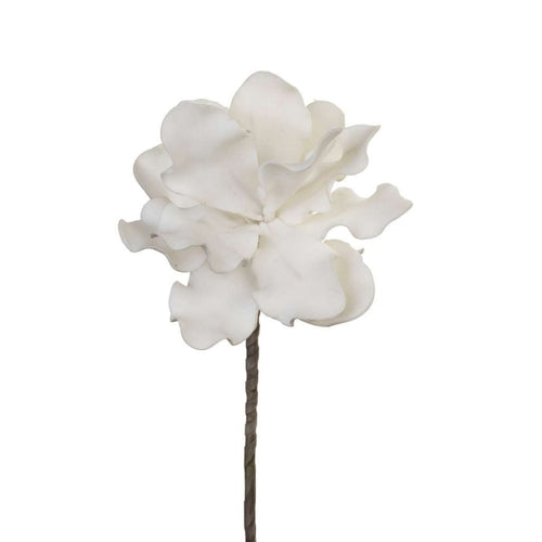 White Flower