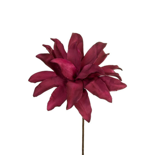 Burgundy Flower