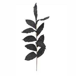Black Leaf Branch