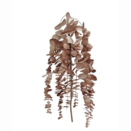 Brown Flowering Branch