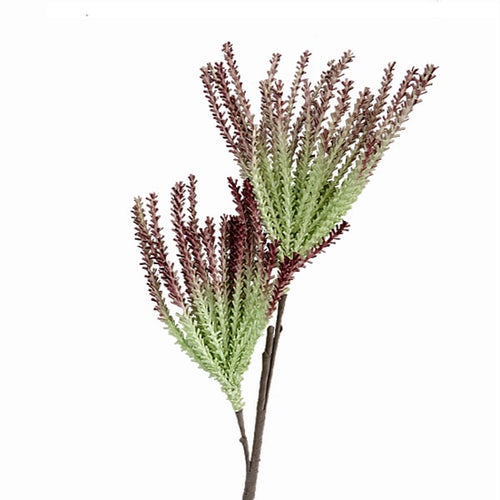 Green-Brown Branch