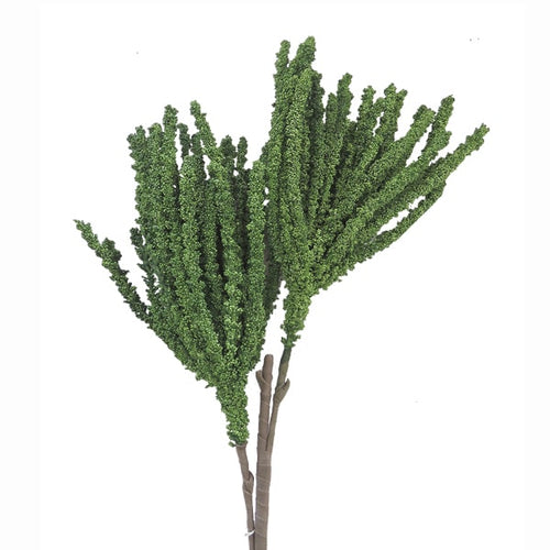 Green Branch