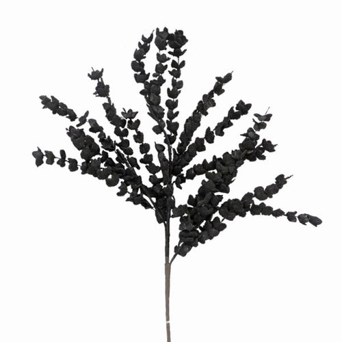 Black Flower Branch