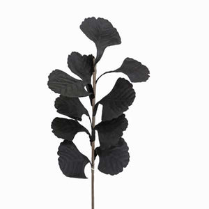 Black Leaf Branch