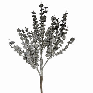 Gray-Silver Branch