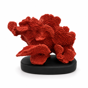 Coral