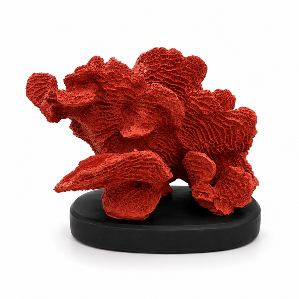 Coral