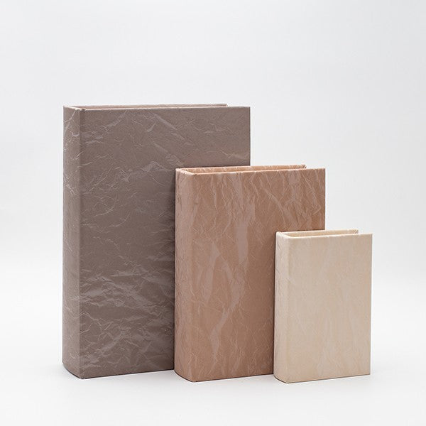 Decorative book boxes