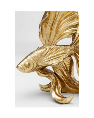 Gold Fish