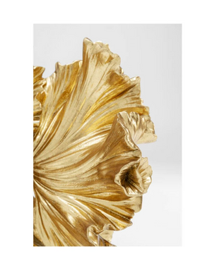 Gold Fish